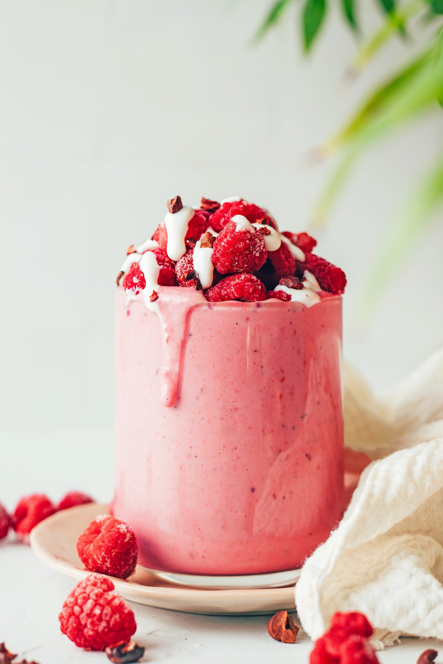 Creamy Raspberry Chip Smoothie (5 Minutes!)