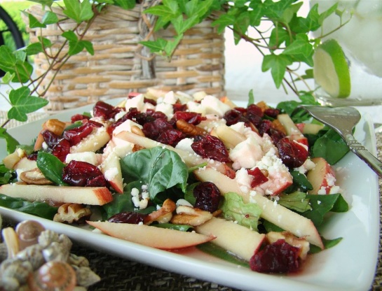 Cranberry Apple-Spinach Salad